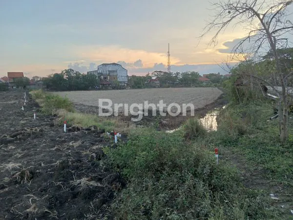 image TANAH SAWAH ATAU TAMBAK (1)