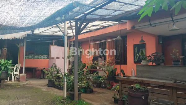 image RUMAH LUAS CANTIK DAN NYAMAN (1)