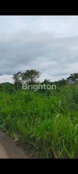 Gambar Property TANAH PINGGIR JALAN