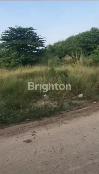 LAHAN / TANAH 2 BUKU SERTIFIKAT DI RAWA TERNATE JAKARTA TIMUR