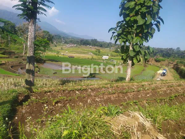 image TANAH DI SENDANG TRAWAS DEKAT DENGAN SMAN 1 TRAWAS, VILLA THE PADI VIEW (1)