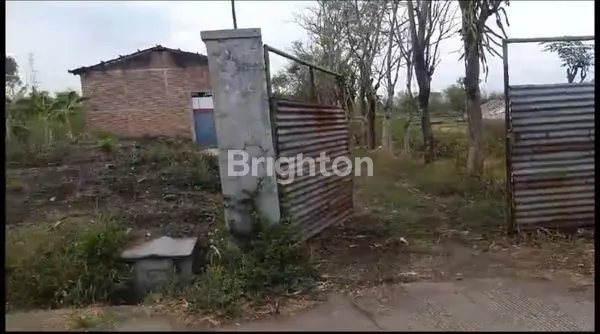 image TANAH DAN BANGUNAN GUDANG EKS SELEPAN SANGAT STRATEGIS DI MOJOSARI - MOJOKERTO (1)