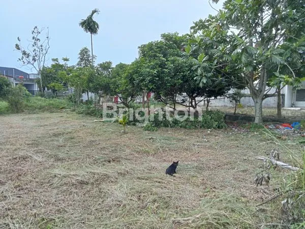 image TANAH DI PARIT INDAH UJUNG (2)