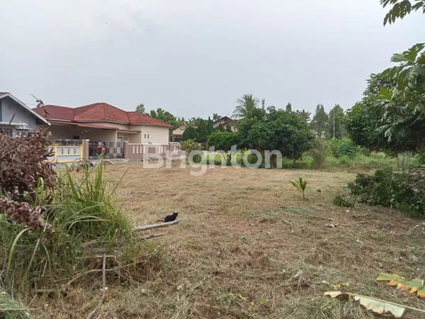 image TANAH DI PARIT INDAH UJUNG (3)