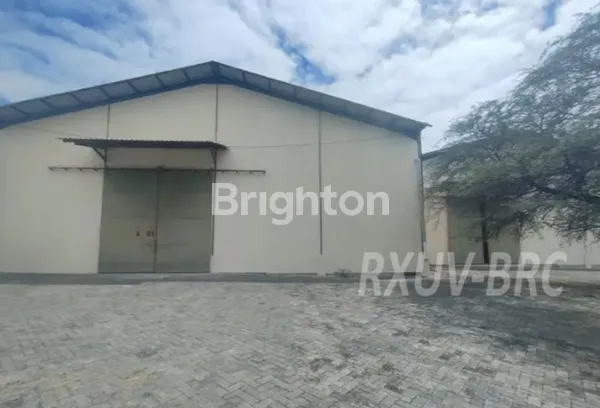 image "INVESTOR! GUDANG DI KUPANG, NTT!" (2)