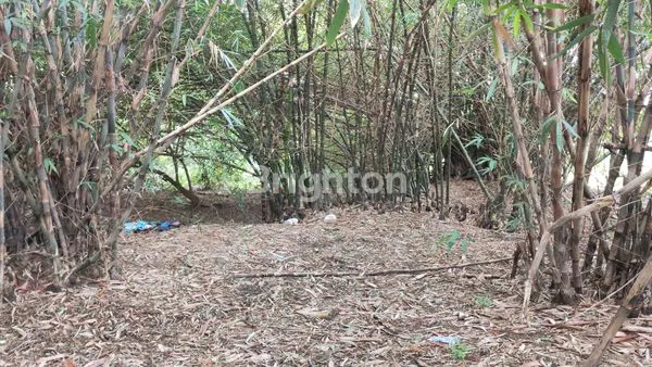 TANAH SIAP PAKAI DI SERANG