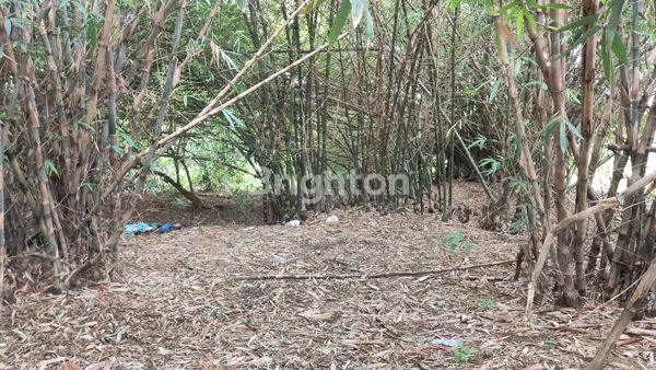 image KAVLING TANAH DI SERANG  (3)