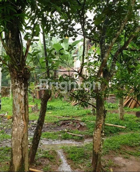 TANAH DI SERANG BANTEN