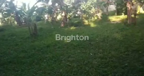 image TANAH STRATEGIS DI DEKAT ISTANA BOGOR (4)