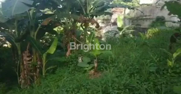 image TANAH STRATEGIS DI DEKAT ISTANA BOGOR (3)