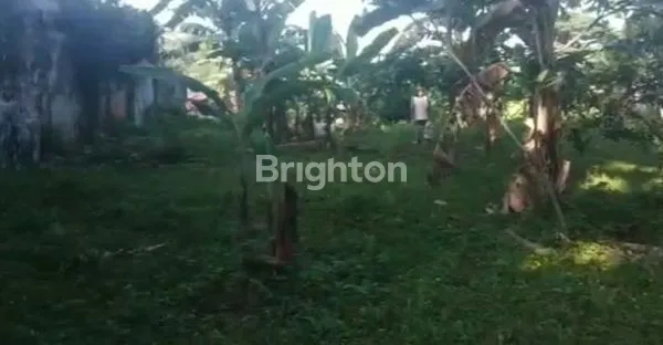 image TANAH STRATEGIS DI DEKAT ISTANA BOGOR (2)