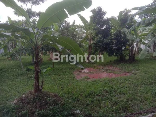 image TANAH STRATEGIS DI DEKAT ISTANA BOGOR (7)