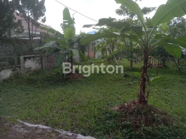 image TANAH STRATEGIS DI DEKAT ISTANA BOGOR (6)