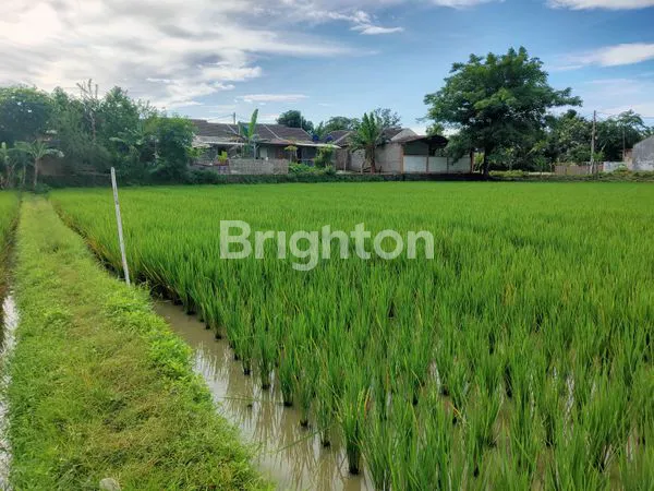 TANAH CITEREP SERANG