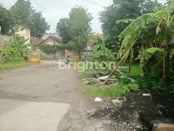 image RUMAH HALAMAN SANGAT LUAS COCOK UNTUK USAHA RENTAL MOBIL (1)