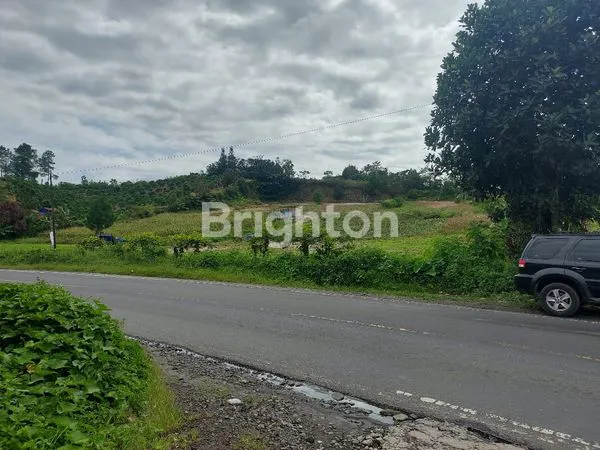 TANAH KABANJAHE MEREK