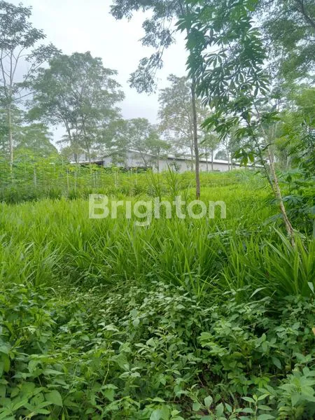 image TANAH BOYOLALI BUAT PABRIK (3)