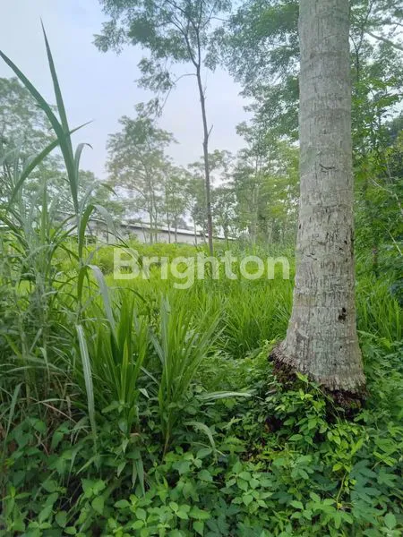 image TANAH BOYOLALI BUAT PABRIK (5)