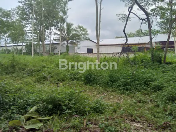 image TANAH BOYOLALI BUAT PABRIK (2)