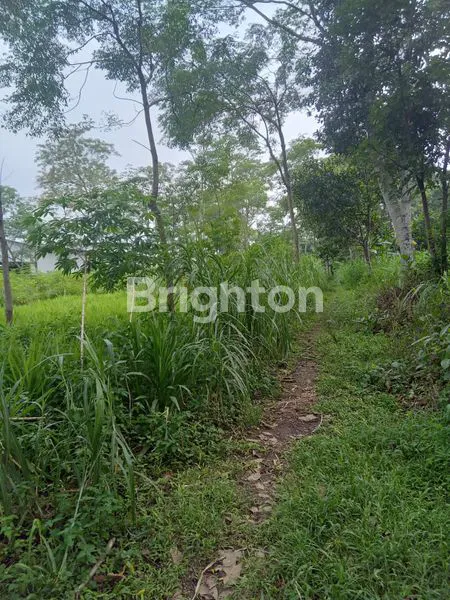 image TANAH BOYOLALI BUAT PABRIK (4)