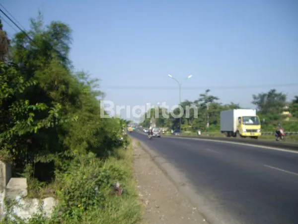 image BANGUNAN TANAH LUAS POSISI NOL JALAN DI PURWODADI (3)