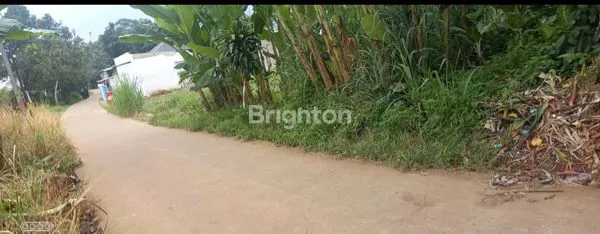 image TANAH JALAN KATAPANG ANDIR  DAERAH PARUNG KEMANG BOGOR (4)