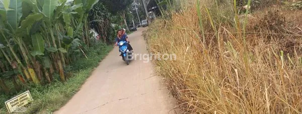 image TANAH JALAN KATAPANG ANDIR  DAERAH PARUNG KEMANG BOGOR (8)
