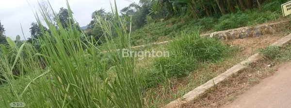 image TANAH JALAN KATAPANG ANDIR  DAERAH PARUNG KEMANG BOGOR (6)