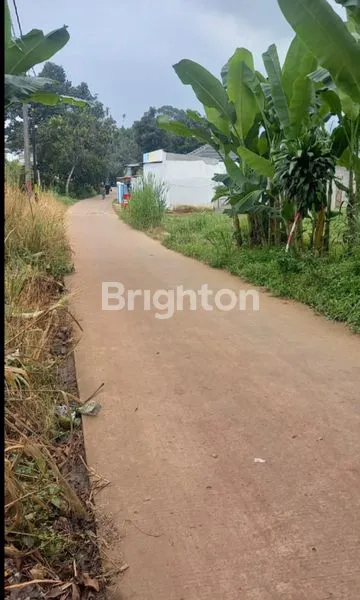 image TANAH JALAN KATAPANG ANDIR  DAERAH PARUNG KEMANG BOGOR (3)