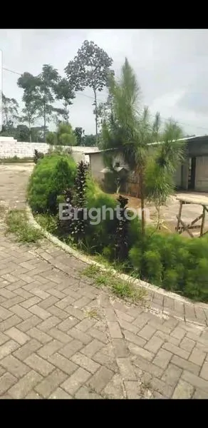 image LAHAN, AREA WISATA, LUAS  1527M2² + BANGUNAN 100M² (4)