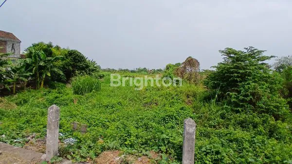 image KAVLING NOL JALAN IKER IKER RAYA CERME GRESIK, TEPAT BERADA DI SEBERANG ALFAMART DAN KLINIK UTAMA GRESIK (2)