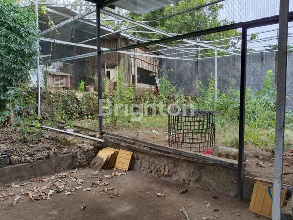 image RUMAH MURAH DI PERUMAHAN FLOBAMOR HILLS KUPANG (2)