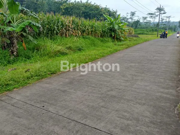 image TANAH DS JELOK - TUNTANG (3)