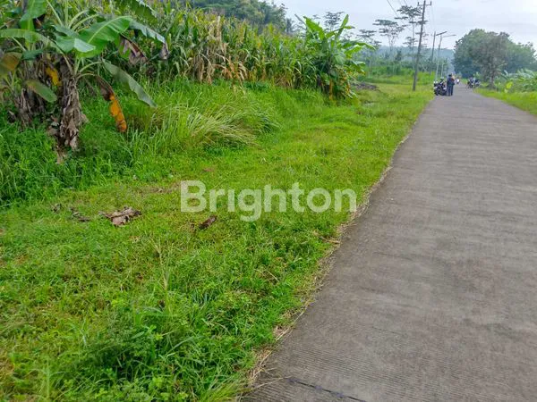 image TANAH DS JELOK - TUNTANG (2)