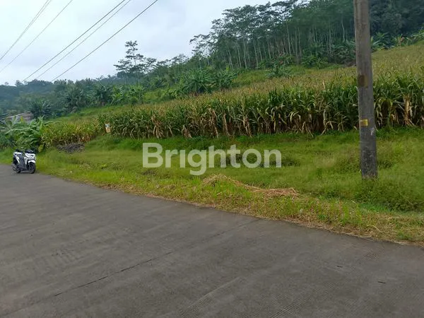 image TANAH DS JELOK - TUNTANG (8)