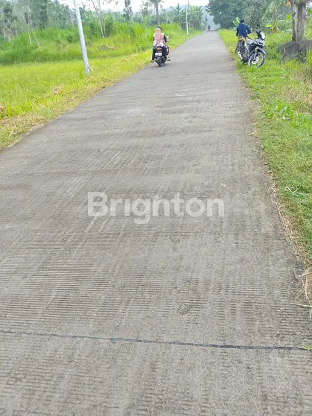 image TANAH DS JELOK - TUNTANG (7)