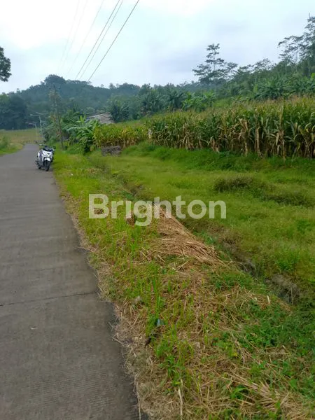 image TANAH DS JELOK - TUNTANG (5)