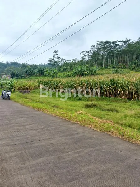 image TANAH DS JELOK - TUNTANG (6)