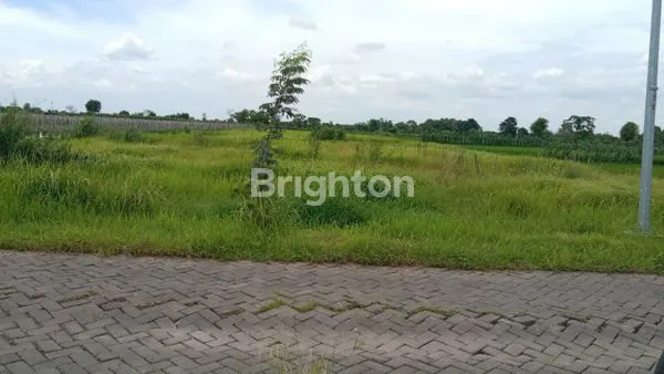 image JUAL MURAH TANAH LAMONGAN (1)