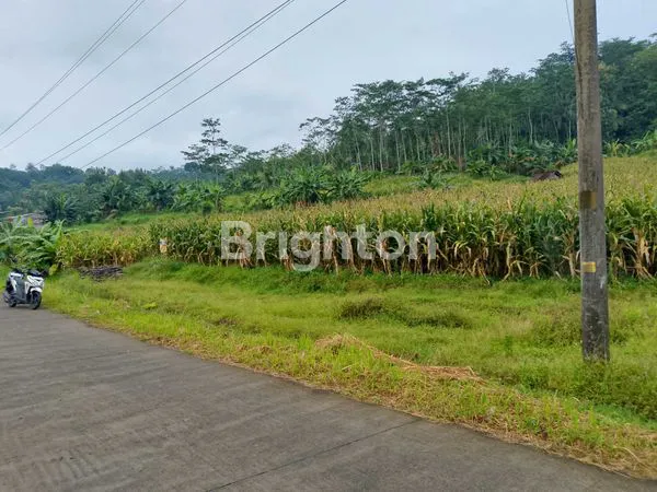 image TANAH DS JELOK - TUNTANG (4)