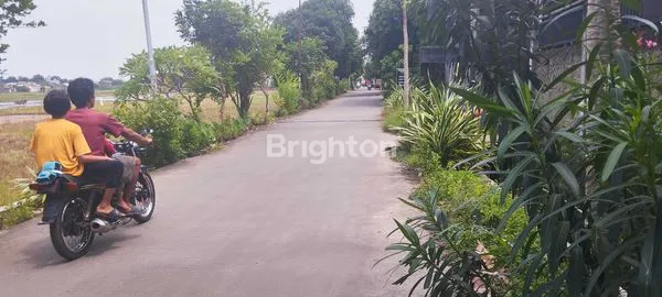 image RUMAH DGN TANAH PEKARANGAN LUAS DAERAH MANGKANG (6)