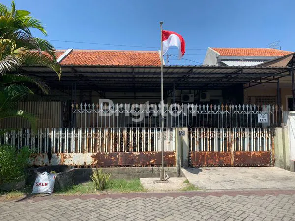 image TENGGILIS TIMUR (1)