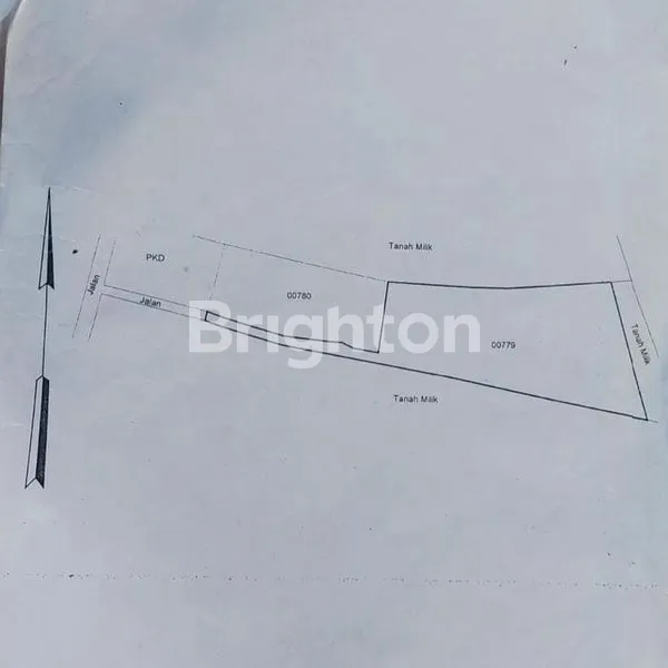 image LAHAN DENGAN VIEW BAGUS DI KELIKI, UBUD RIVERSIDE - BALI (8)