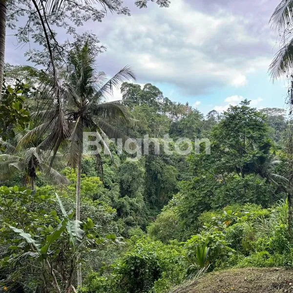 image LAHAN DENGAN VIEW BAGUS DI KELIKI, UBUD RIVERSIDE - BALI (1)