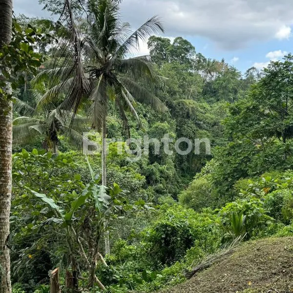 image LAHAN DENGAN VIEW BAGUS DI KELIKI, UBUD RIVERSIDE - BALI (5)