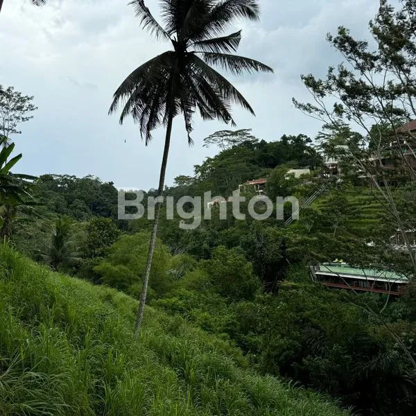 image LAHAN DENGAN VIEW BAGUS DI KELIKI, UBUD RIVERSIDE - BALI (3)