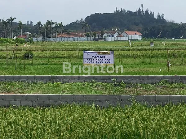 DIJUAL TANAH PEKARANGAN LUAS DI BANGUNJIWO – DEKAT UMY!