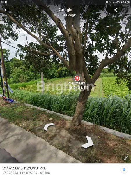 TANAH JALAN PAMENANG KABUPATEN KEDIRI