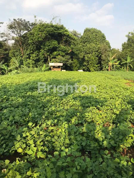 image TANAH KOMERSIL PINGGIR JALAN COCOK DI BANGUN PERUMAHAN ATAU CLUSTER ATAU RUKO DAERAH DRAMAGA BOGOR (5)