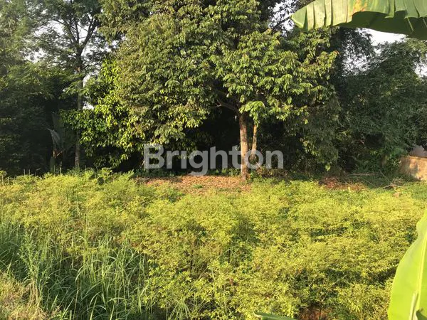 image TANAH KOMERSIL PINGGIR JALAN COCOK DI BANGUN PERUMAHAN ATAU CLUSTER ATAU RUKO DAERAH DRAMAGA BOGOR (3)